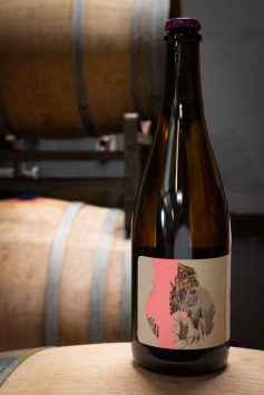 Valdiguié Pétillant Naturel 'Deming Vyd'