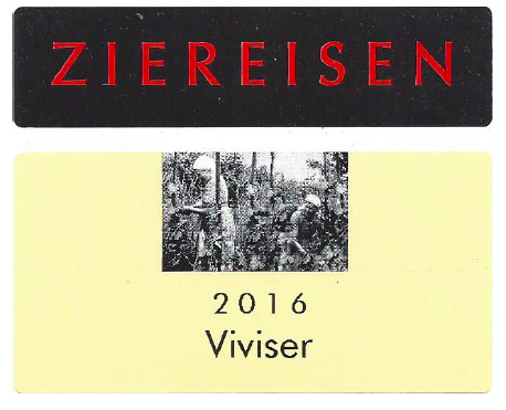 Viviser Gutedel Chasselas