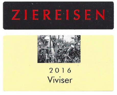 Ziereisen Viviser Gutedel Chasselas