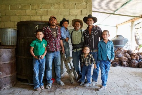 RESPECT TO THE MAESTROS: Agave, Community and Socioeconomics in Mezcal
