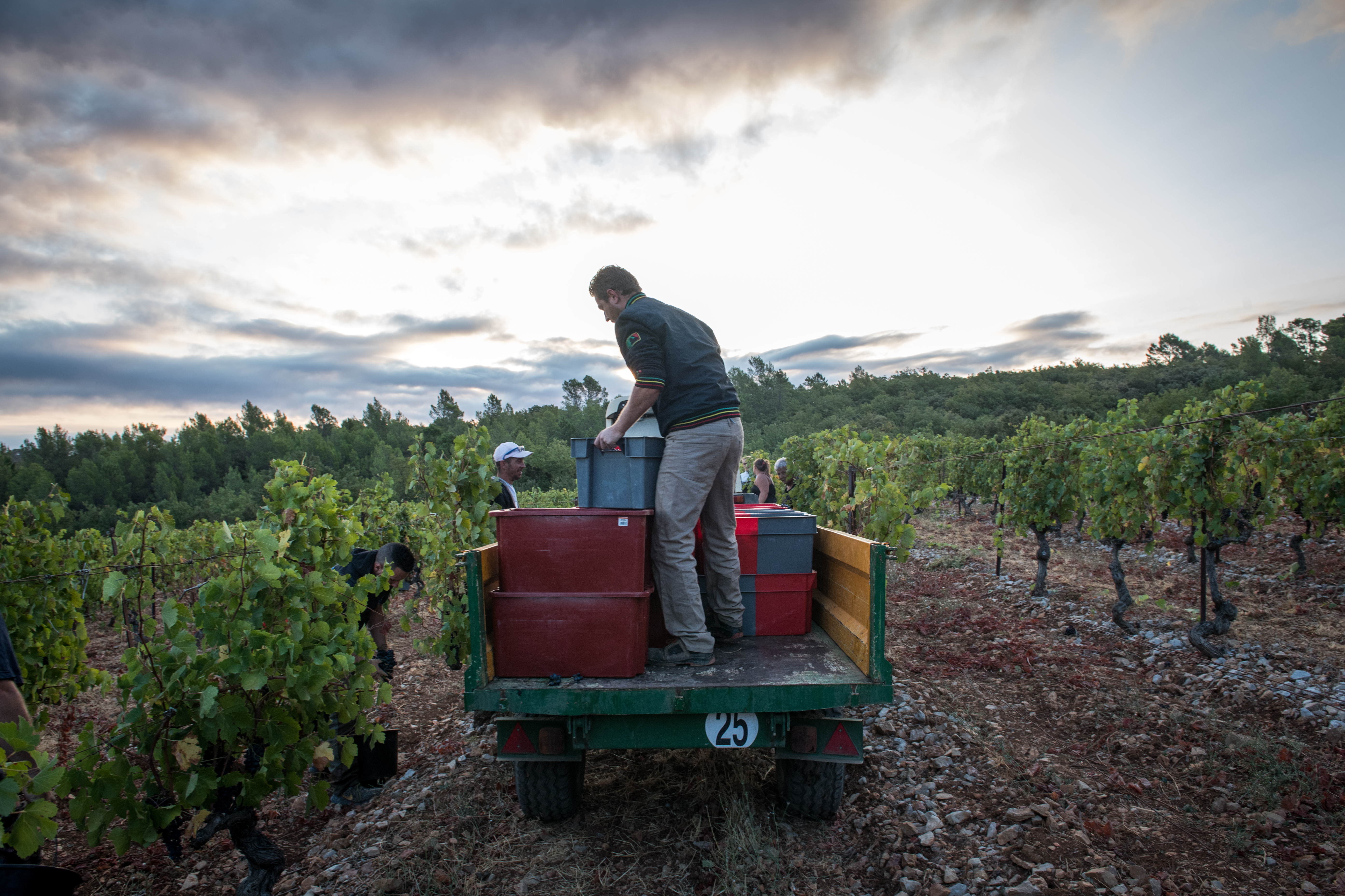 Postcards from the 2018 Harvest in France