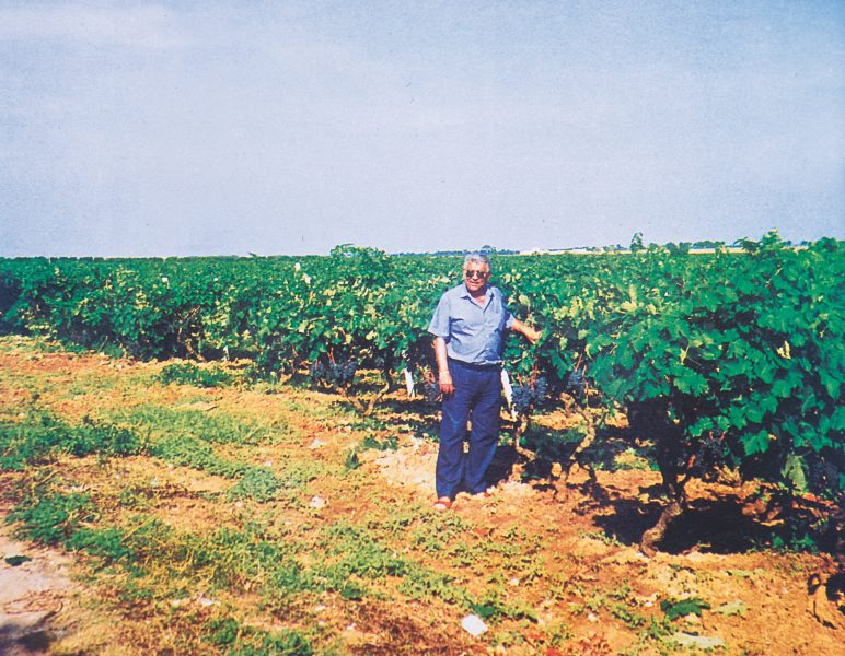 Grand Cru Puglia: The Wines of Cosimo Taurino