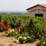 Domaine des Marrans | Fleurie