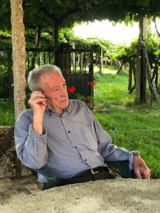 The Lost World: Pre-Phylloxera Albariño in the Val do Salnés 2