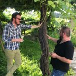 The Lost World: Pre-Phylloxera Albariño in the Val do Salnés 4