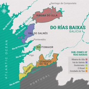 The Lost World: Pre-Phylloxera Albariño in the Val do Salnés 8