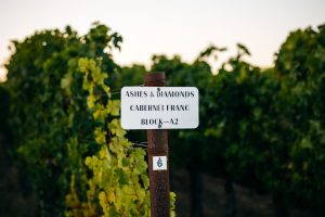 A Return to Classic: The Stylistic Evolution of California Wine 3
