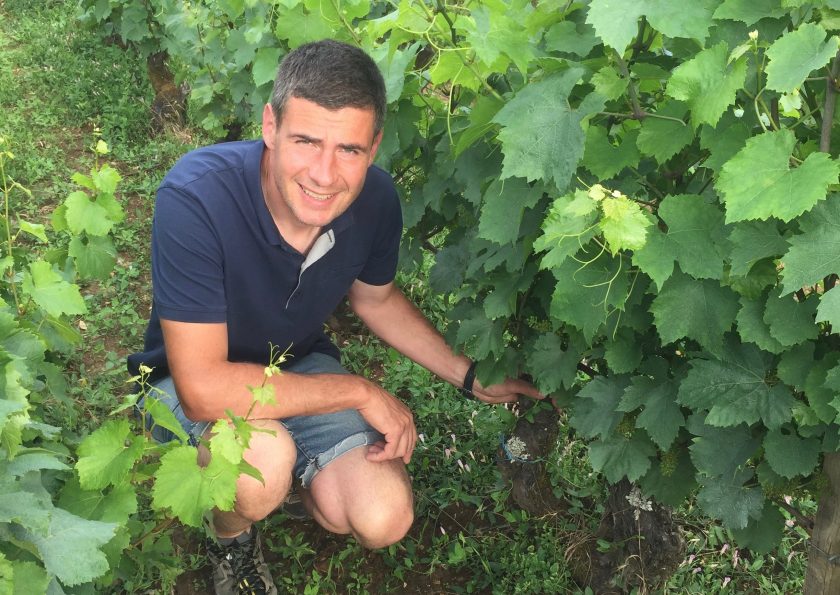 Domaine Dureuil-Janthial: Burgundy’s Quiet Superstar