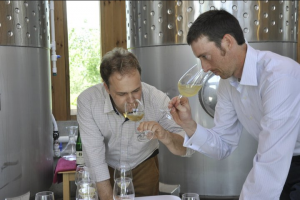 The Reality of Riesling: How Our Producers are Changing the Landscape of a Challenged Variety 3