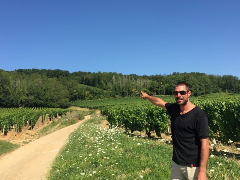 In the Vineyard with Burgundy’s Best Kept Secret – Domaine Frantz Chagnoleau
