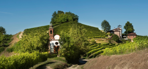 Malvirà: The Last Great Stash of Cellar-Aged Older Wines in Piedmont?! 3