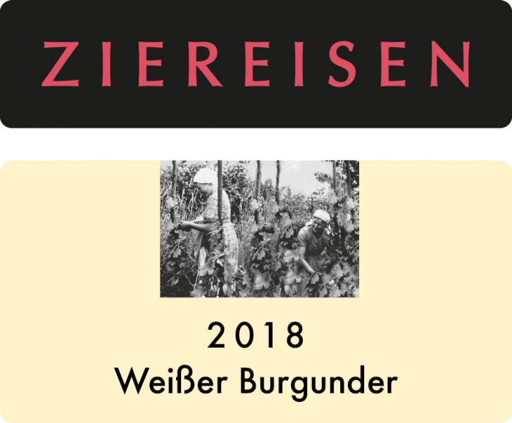 Ziereisen Pinot Blanc