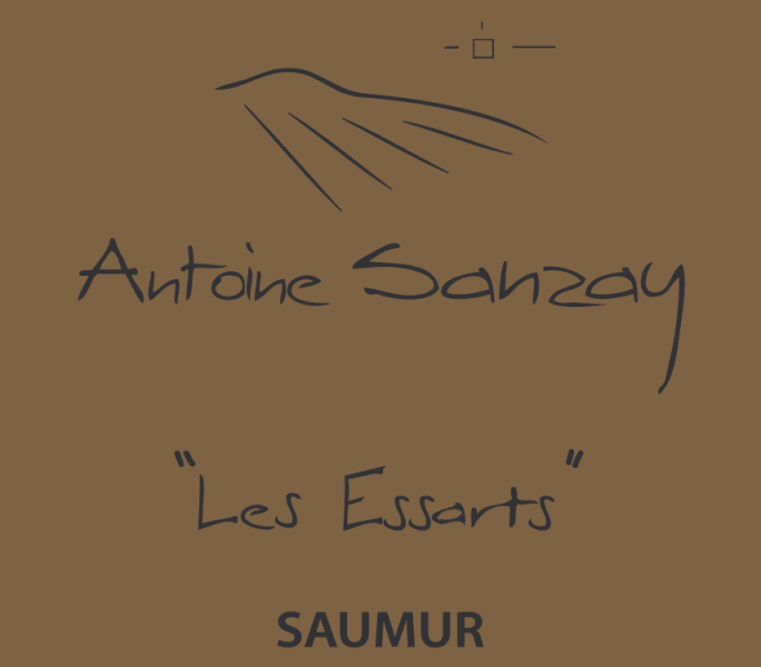 Saumur Blanc Les Essarts Domaine Antoine Sanzay