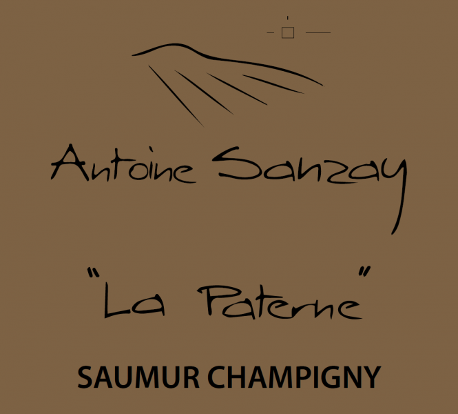 Saumur Champigny La Paterne Domaine Antoine Sanzay