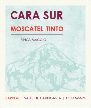 Tinto, Cara Sur
