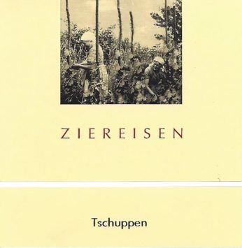Tschuppen Blauer Spätburgunder