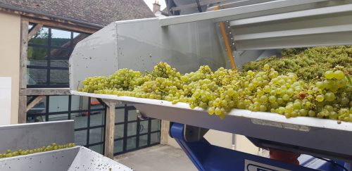 2019 Harvest Notes from Our Friends in France