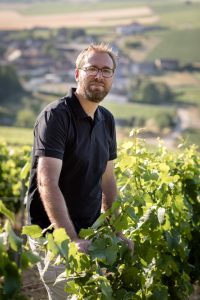 The 2018 Vintage in Chablis 3