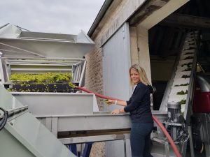 The 2018 Vintage in Chablis 4