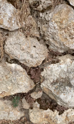 Ancient blocks of silex and clay harvested from Haut de la Butte when it was first planted 40 years ago. These blocks were used to create a wall that sits at the foot of the hill.