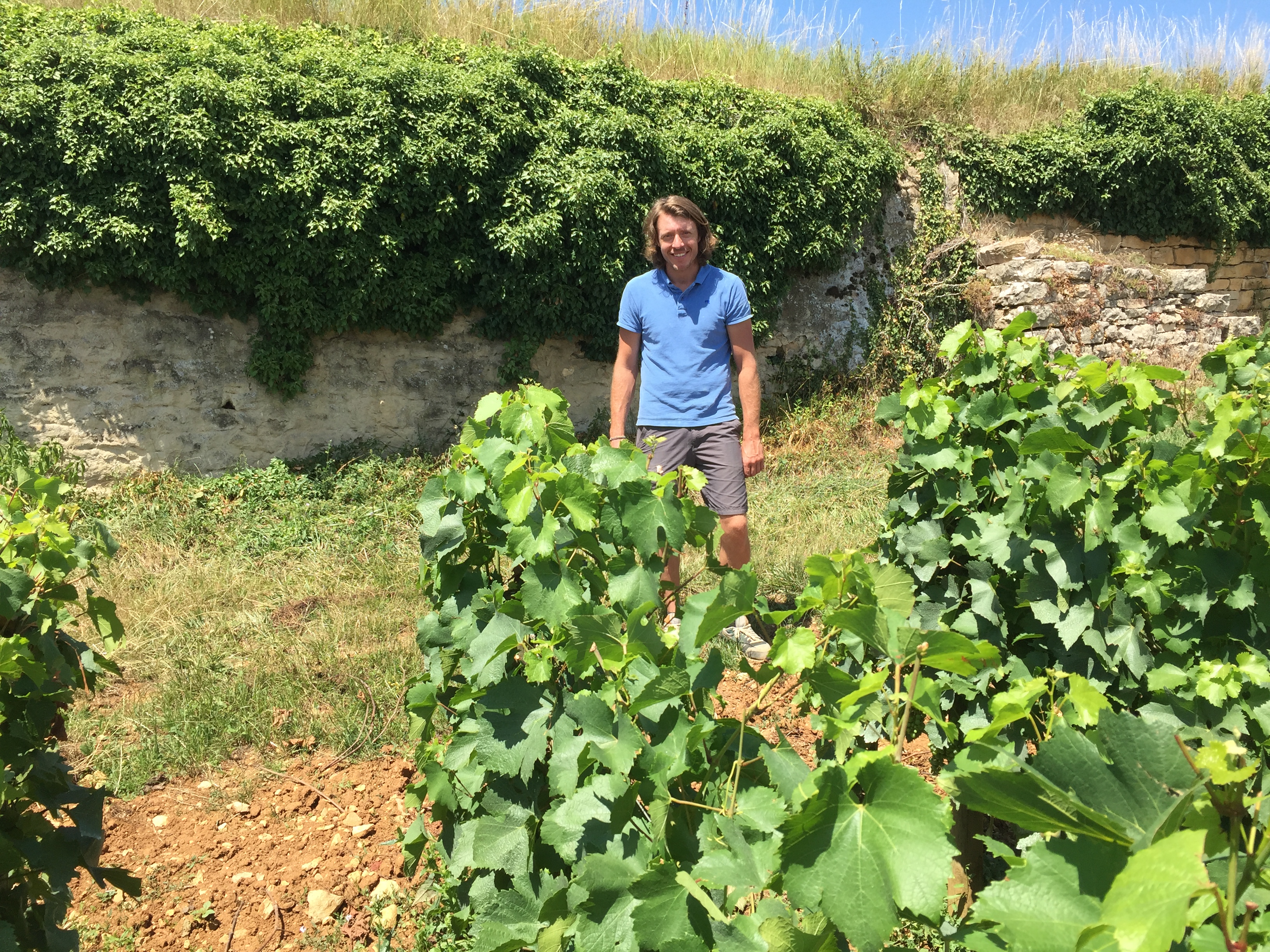 TERROIR TALK: Thierry Pillot of Domaine Paul Pillot