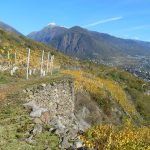 Ar.Pe.Pe: The New Dawn of Nebbiolo from Valtellina 14