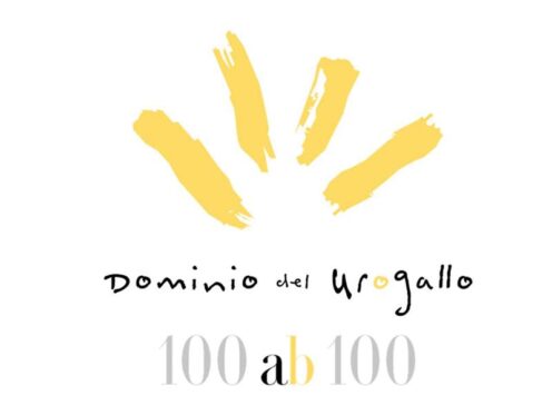 Blanco '100 ab 100'