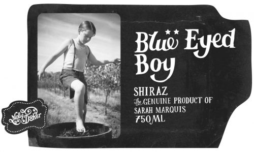 Blue Eyed Boy Shiraz