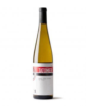 Gruner Veltliner 'Paragon'