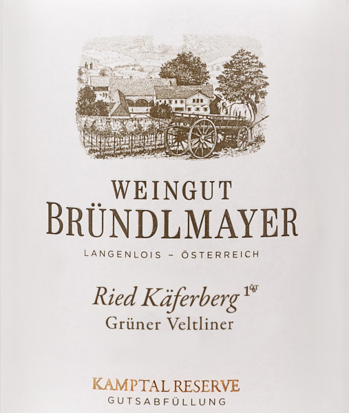 Brndlmayer Ried Langenloiser Kferberg 1 TW Kamptal DAC Grner Veltliner