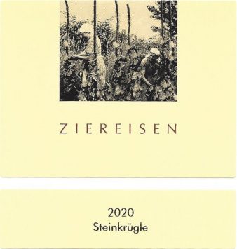 'Steinkrügle' Gutedel [Chasselas]