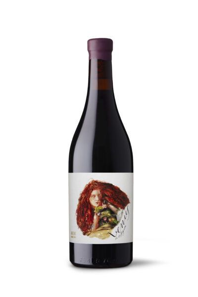 Montsant Tinto Venus de la Figuera
