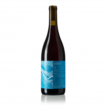 Pinot Noir 'Mendocino County'