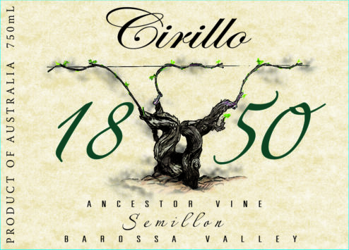 Semillon 'Ancestor Vine'