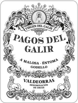 Valdeorras Blanco 'Pagos del Galir', Virgen del Galir
