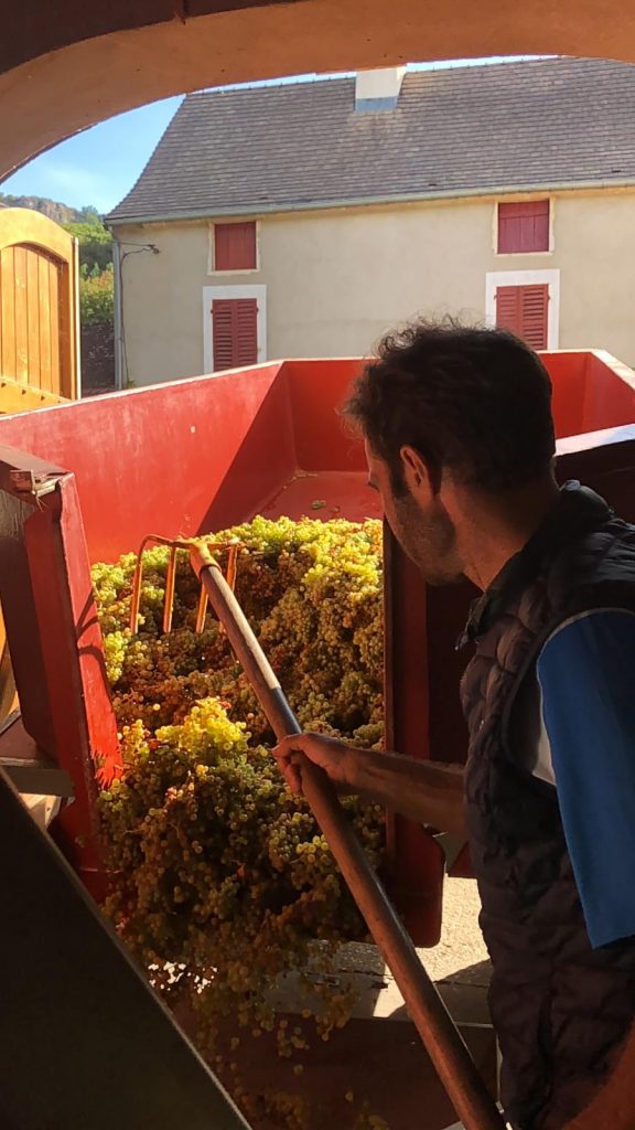 2020 Harvest Notes from France 5