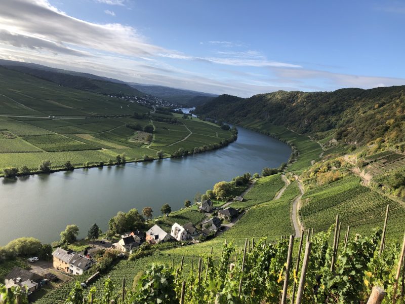Exquisite 2019s and the Mosel’s Newest VDP Member: AJ Adam