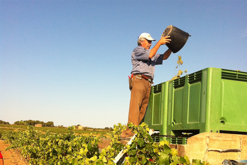 Bodegas Abanico