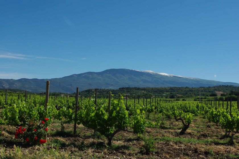 Chateau Valcombe