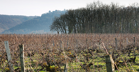 Clos de Gamot