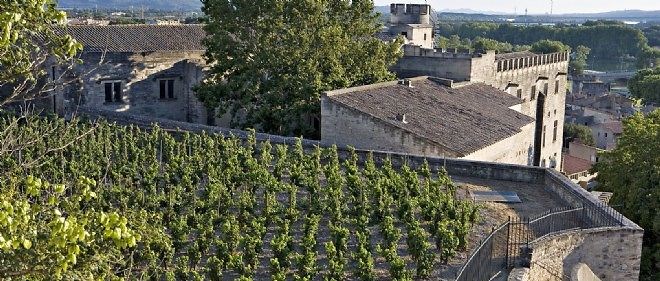 Clos des Papes