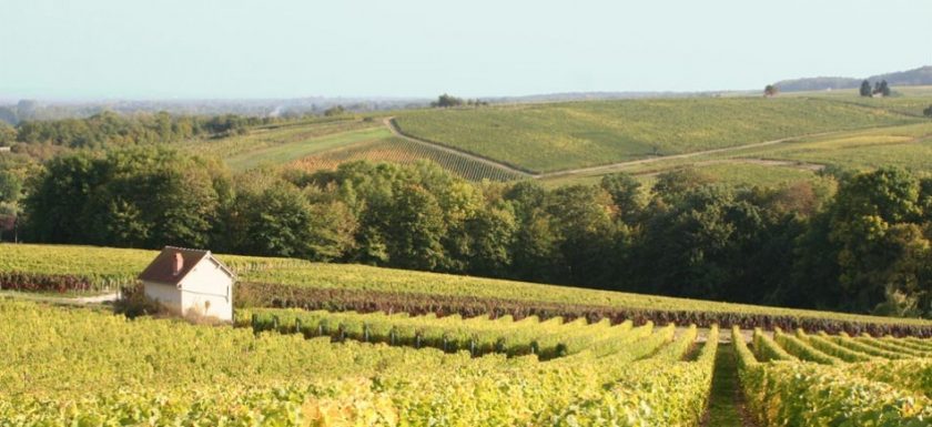 Domaine Andre Neveu