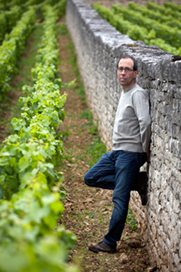 Domaine Jacques Carillon