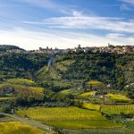 Enzo Tiezzi of Montalcino: He Wrote the Book on Brunello (and Rosso)! 10