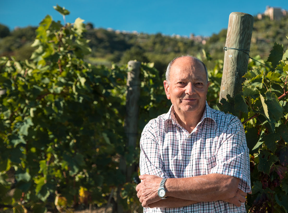 Enzo Tiezzi of Montalcino: He Wrote the Book on Brunello (and Rosso)!