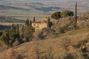Scopetone and the Original Terroir of Brunello: Scarnacuoia