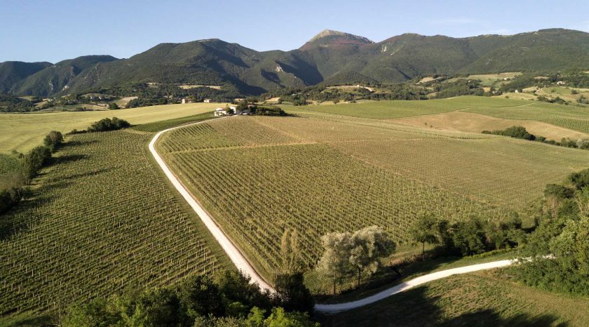 Bisci of Matelica: Where Verdicchio Meets the Mountains of Le Marche