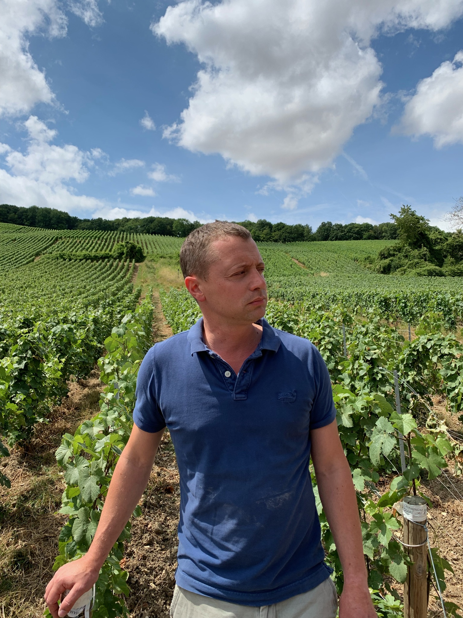 Producer and Place: Champagne Today - Skurnik Wines & Spirits