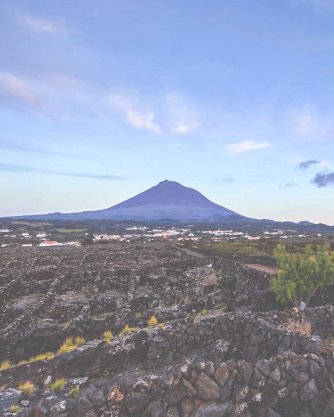 Ilha do Pico