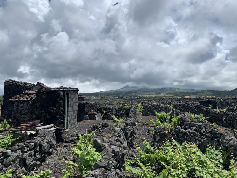 Ilha do Pico